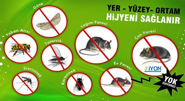 hasere-bocek-ilaclama